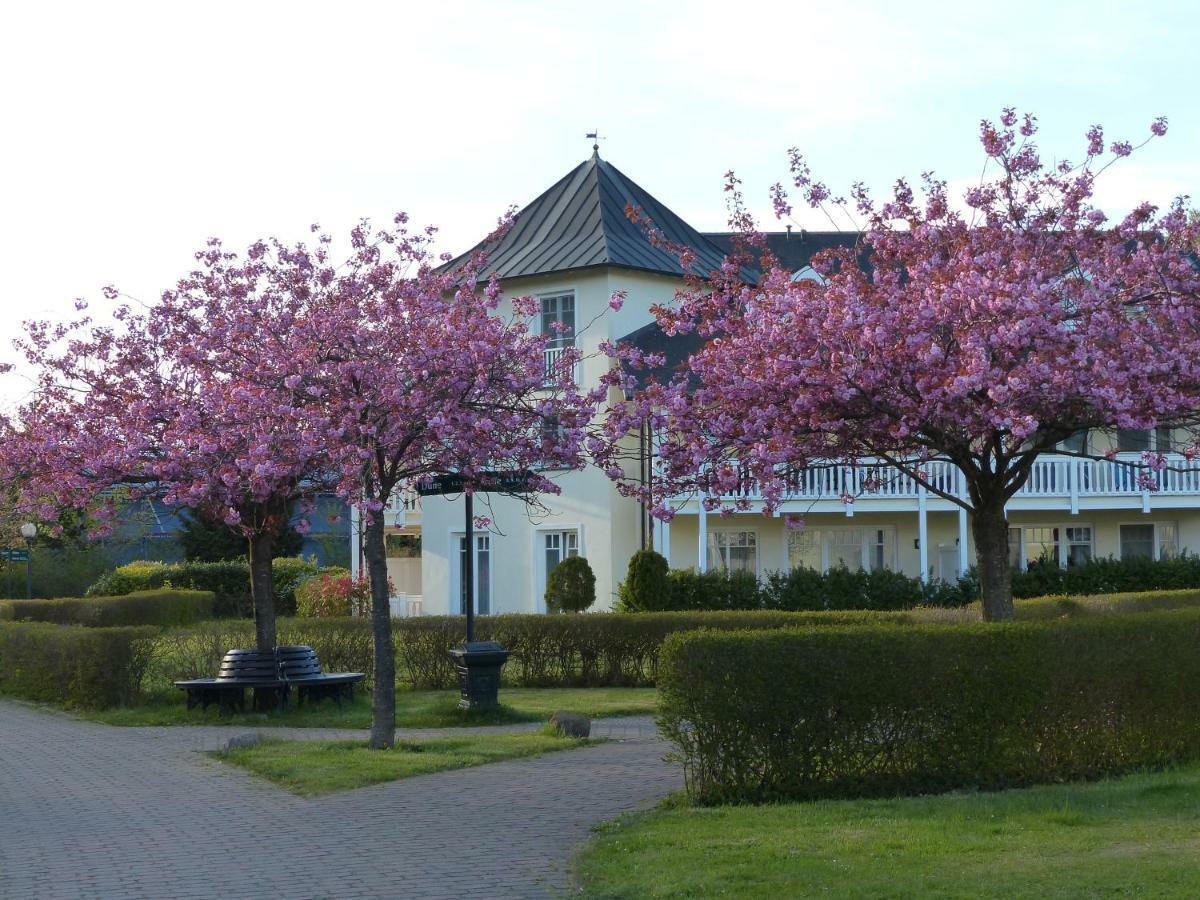 דירות Duenenpark In Binz Fuer Eltern Und Kind מראה חיצוני תמונה